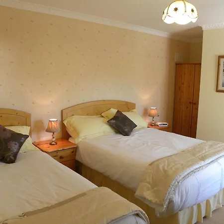 Guest house Maple 4*