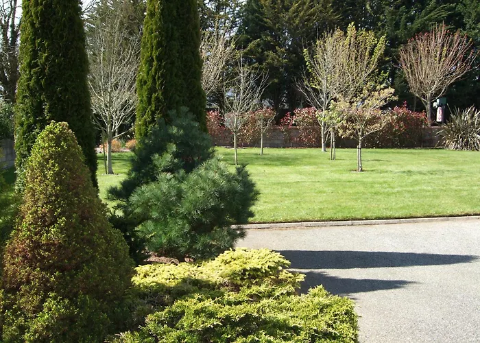 Гостевой дом Maple Каслбридж