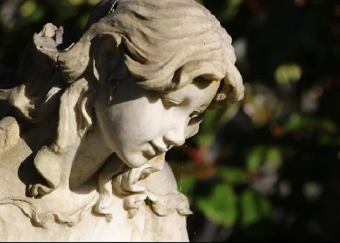 Maple Гостевой дом 4*